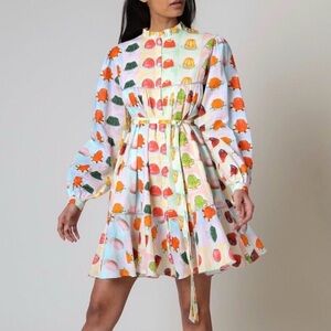 Rachel Antonoff Drew Shirt Dress Jello Stripe Large